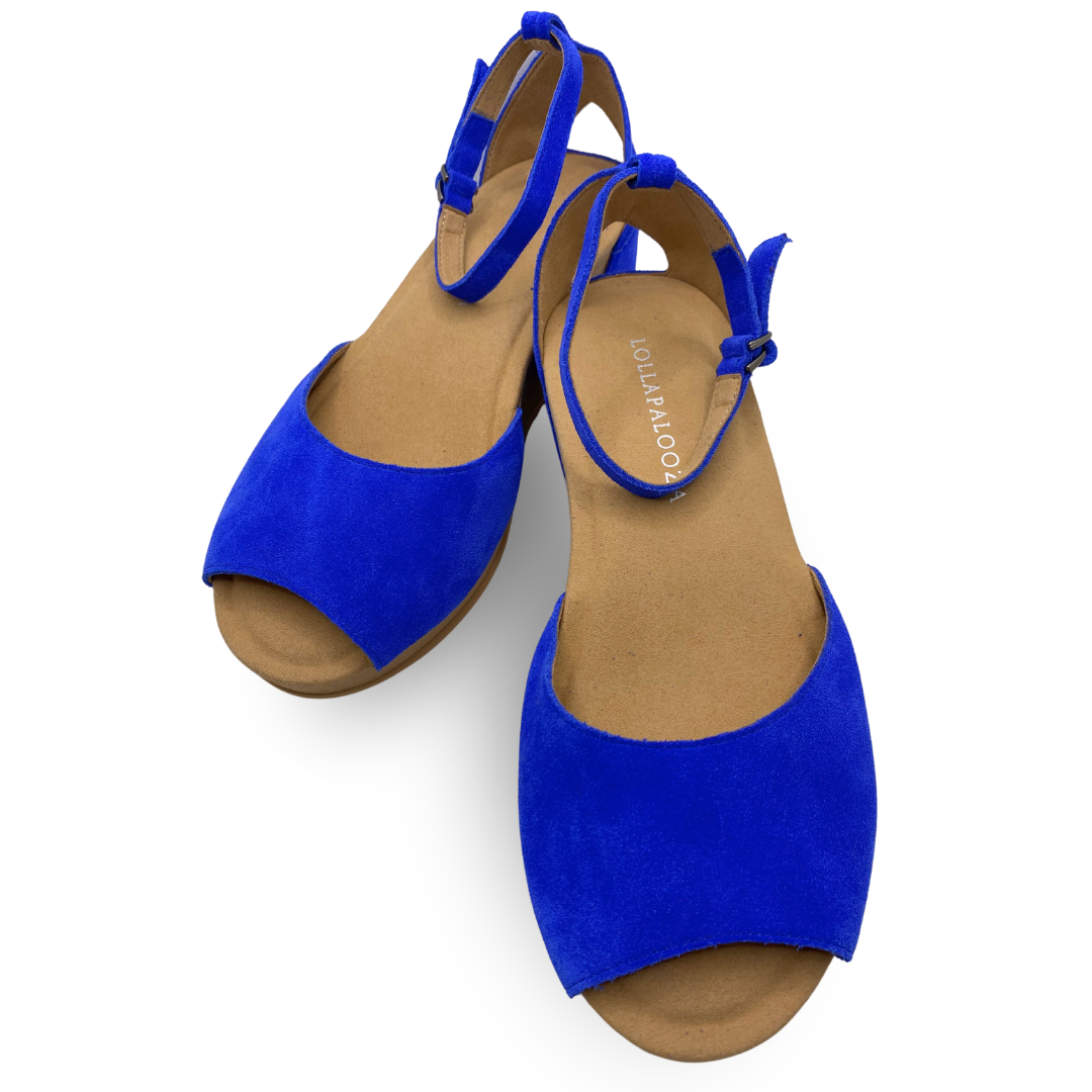 Royal Blue Shoes